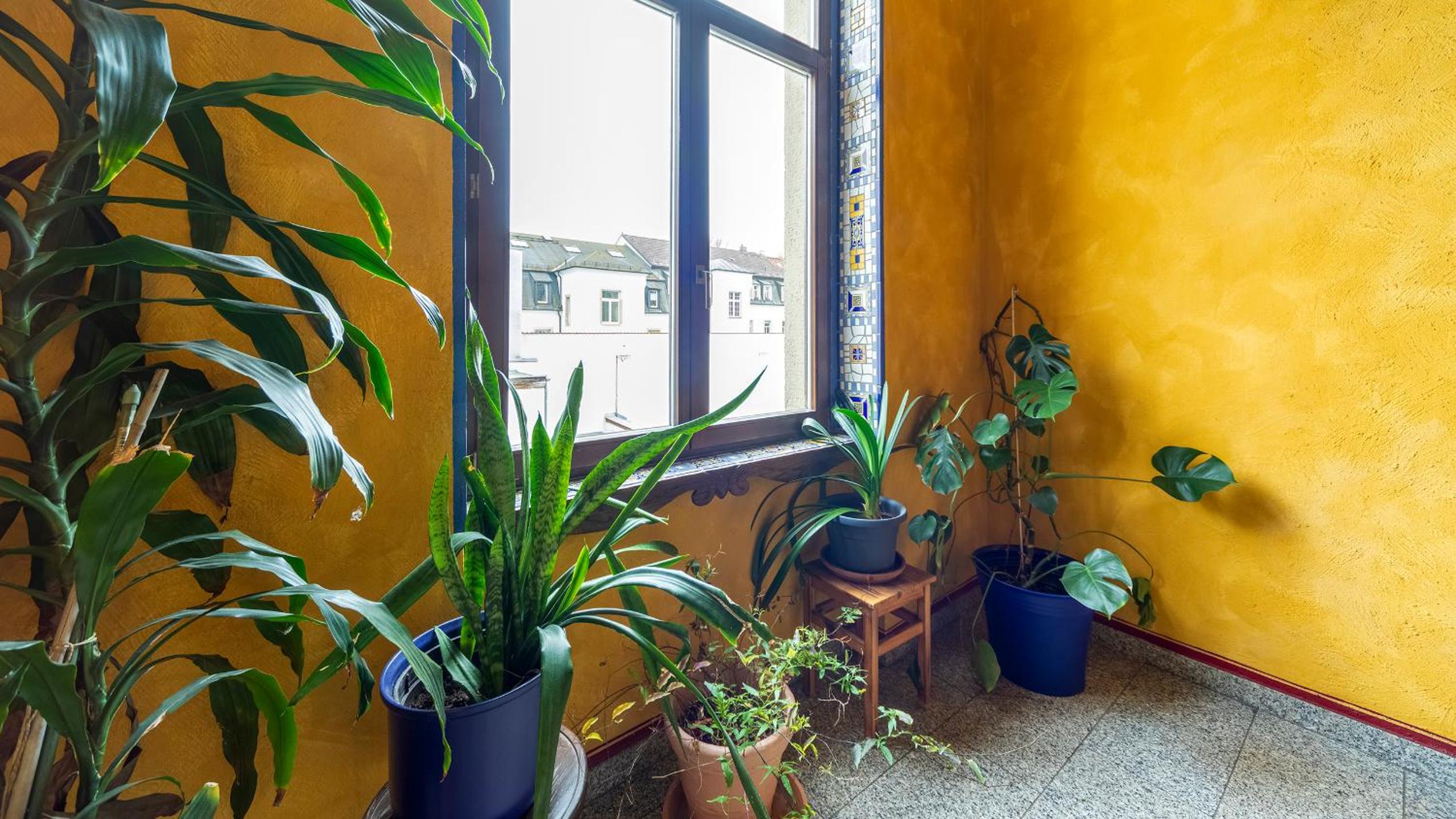 Gästehaus Mezcalero