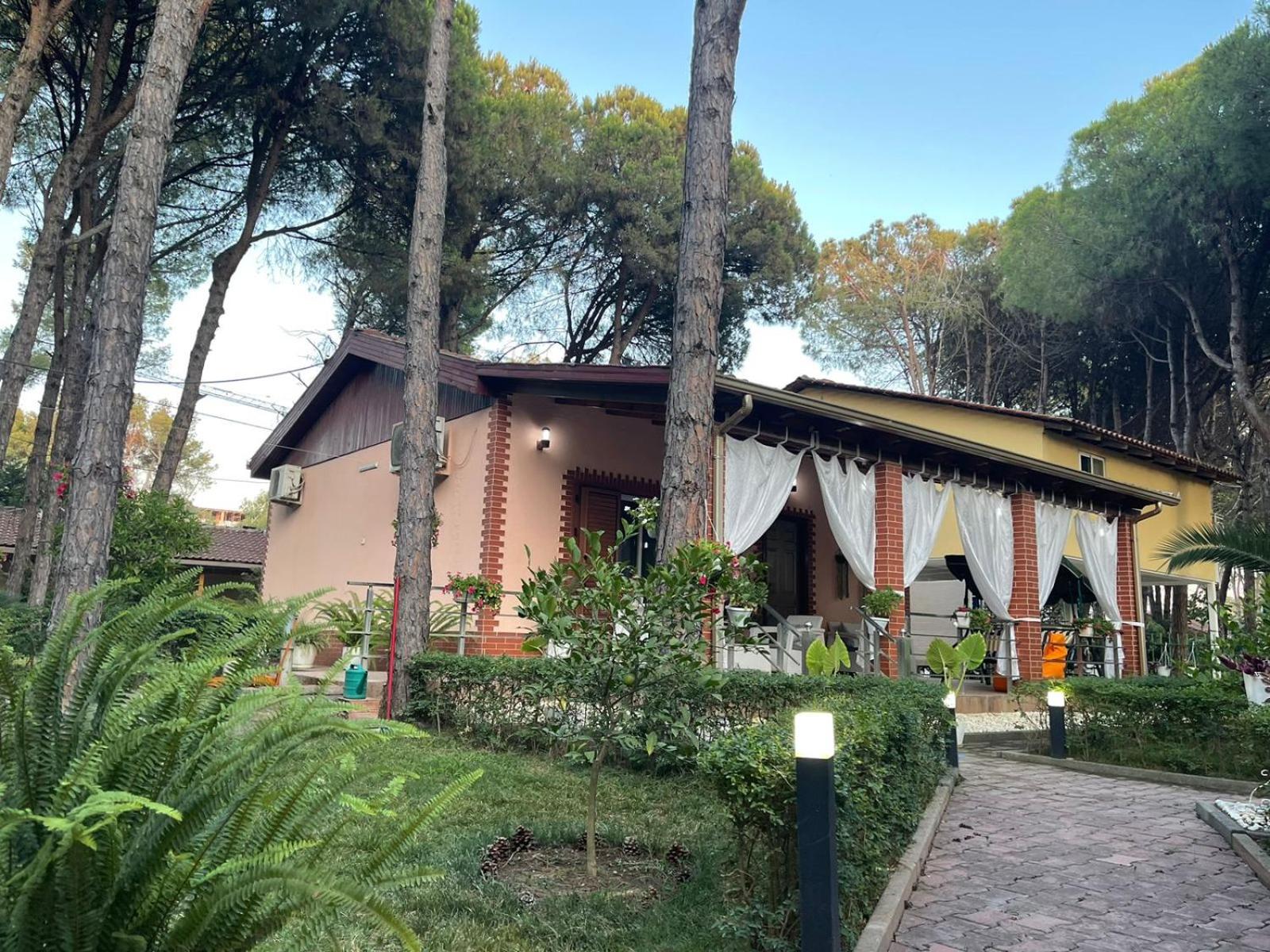 Seafront Villa with a Stunning Garden