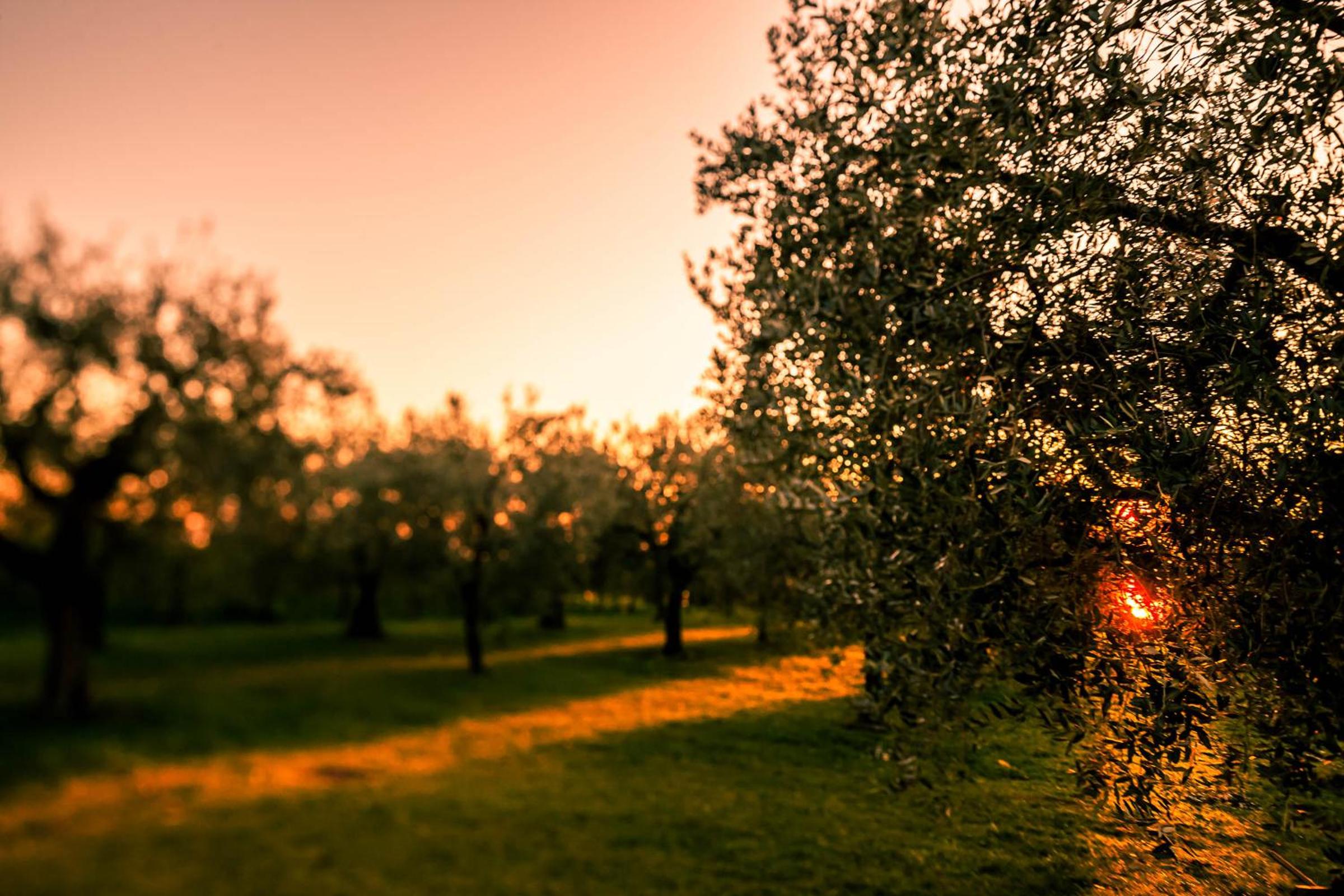 Quercia Belvedere Relais