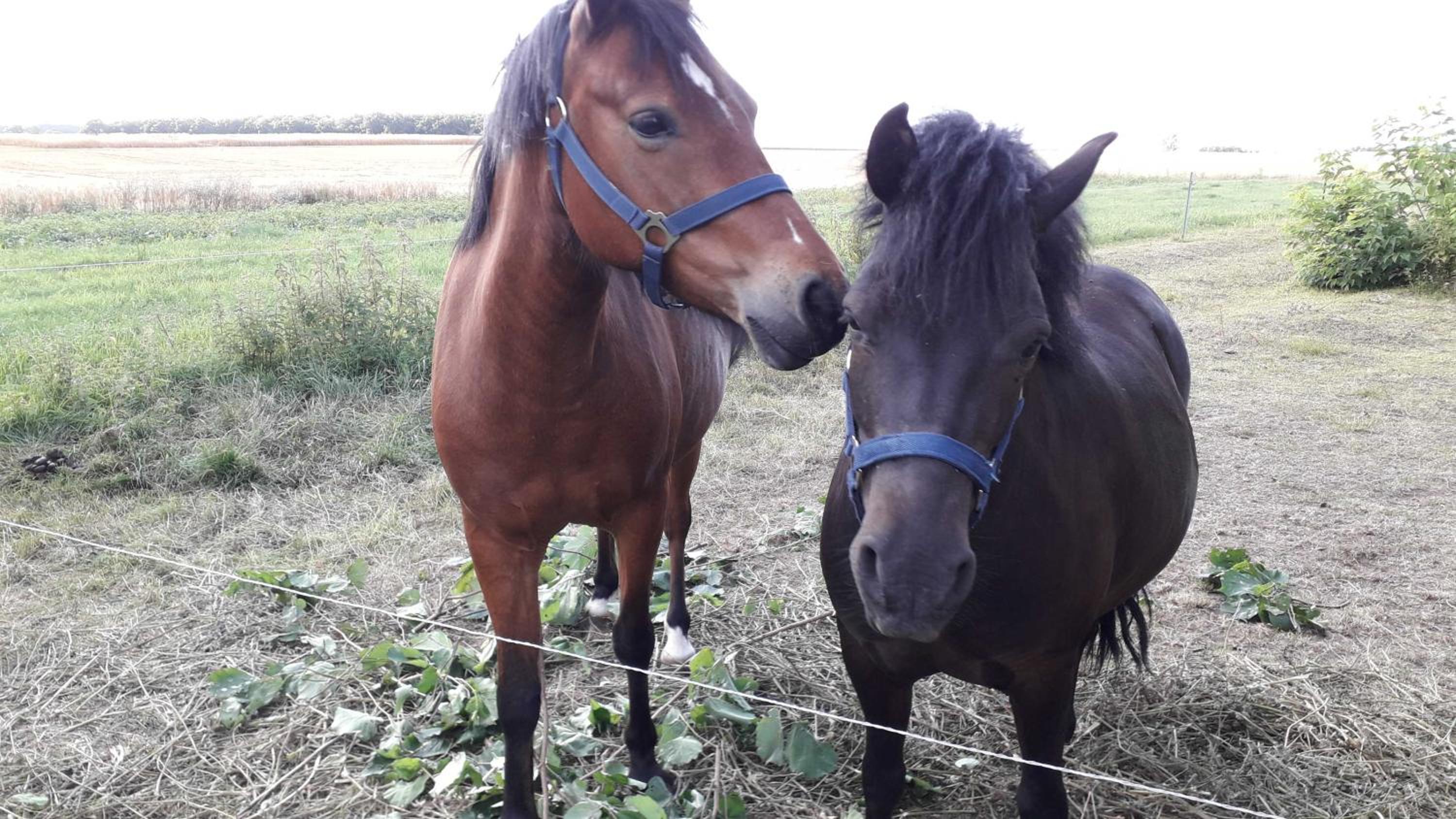 Ferienwohnungen auf dem Lande