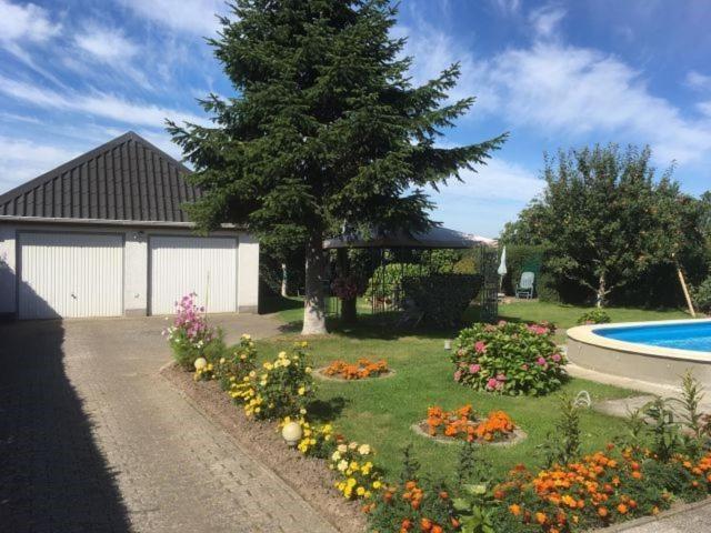 Ferienwohnung an der Müritz 1 Groß