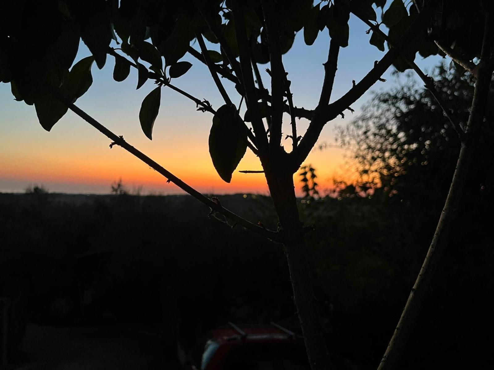 Casa Olive view 5
