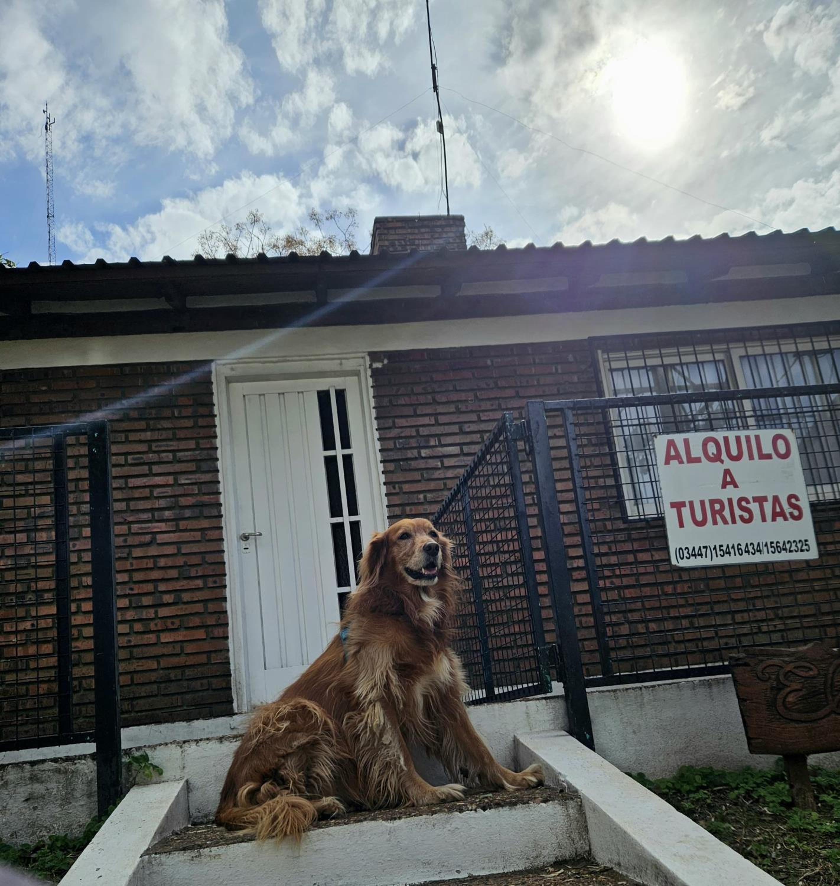El Nene