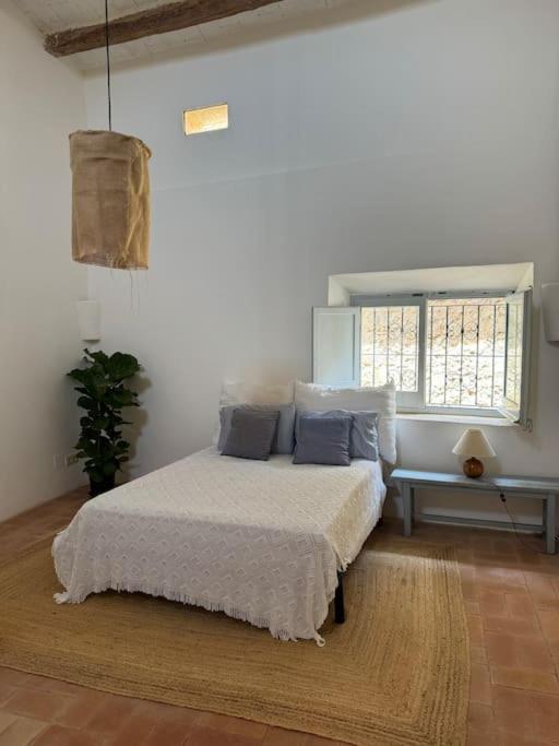 Casa Zelig