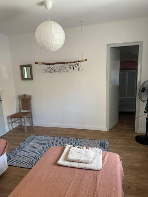Casa Zelig