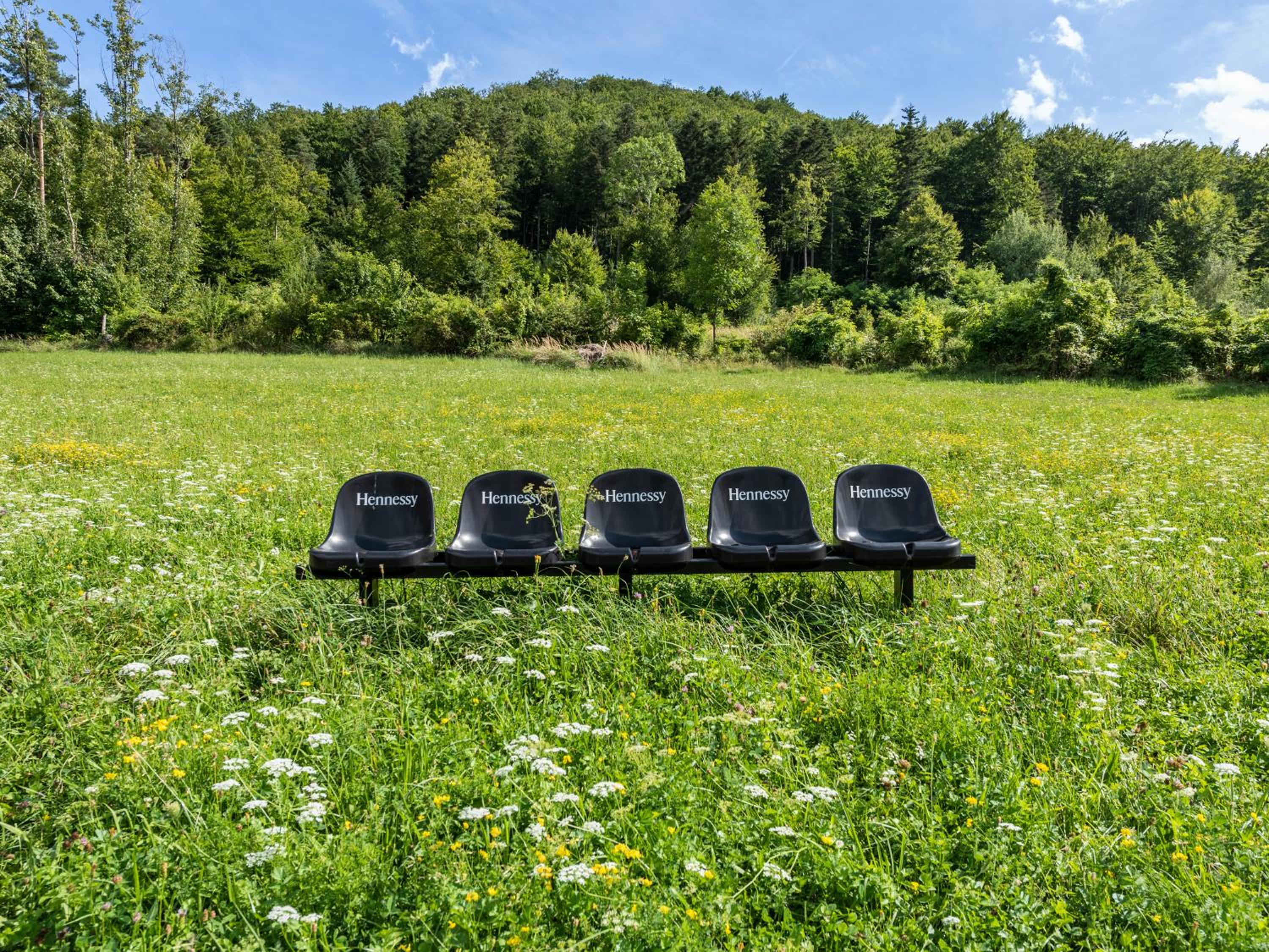 La Petite Ivy, Trenninghof 1302, Wachau - Managed by SKY9 Apartments
