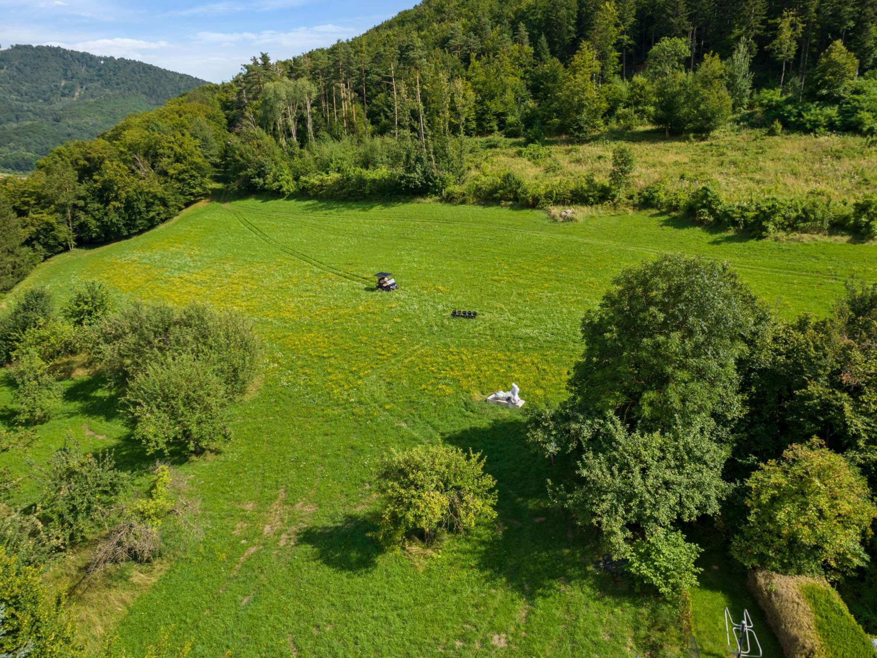 La Petite Ivy, Trenninghof 1302, Wachau - Managed by SKY9 Apartments