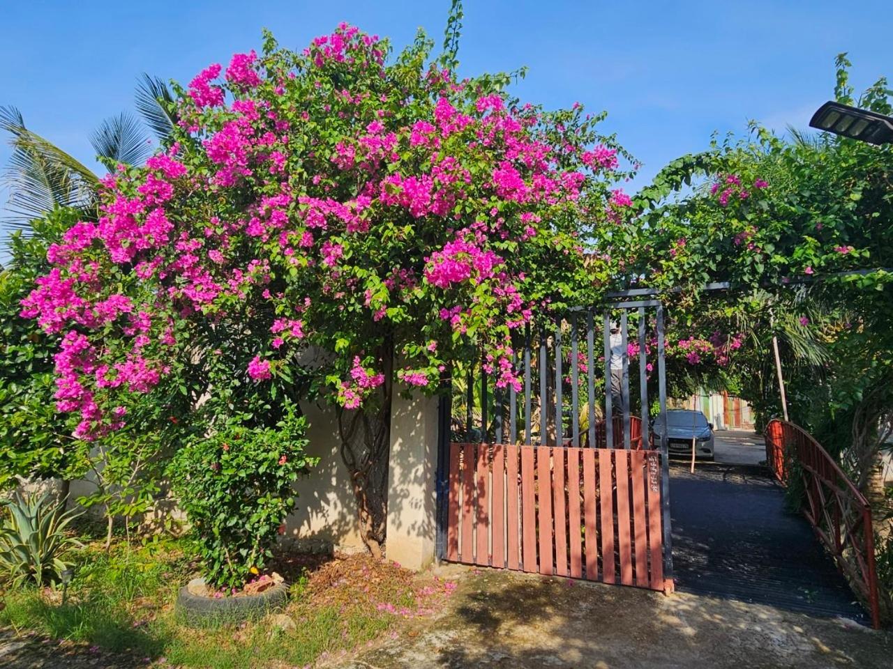 Homestay Sen & Zen Villa Vũng Tàu view 2