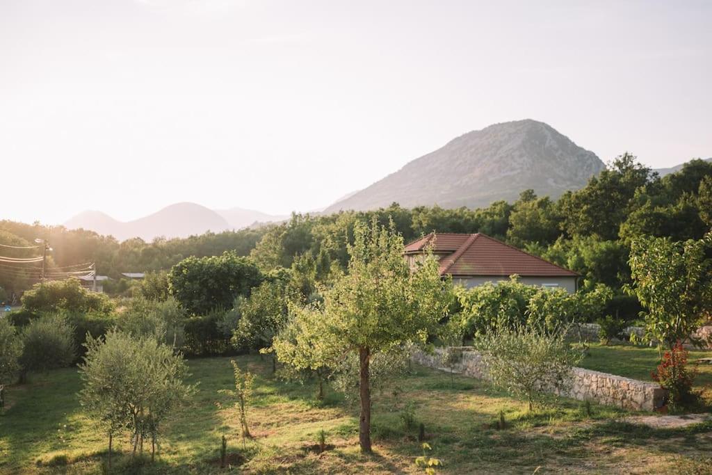 Casa Hollaj view 3
