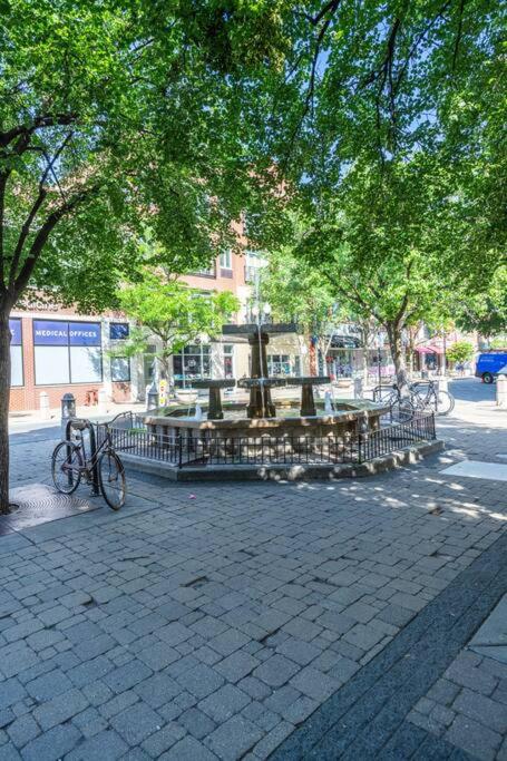 Duplex 3 Bed 2 Bat Apt Steps from Lincoln Square view 2