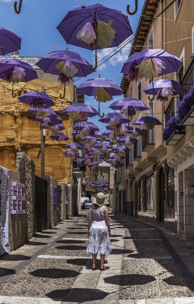 Apartamentos Tierra Lavanda