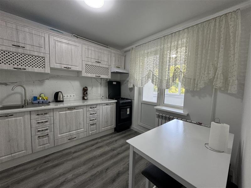 NEW Parkview Central Apartment Chisinau - Valea Morilor view 4