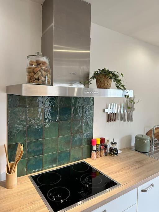 Appartement lumineux et chaleureux avec piscine estivale
