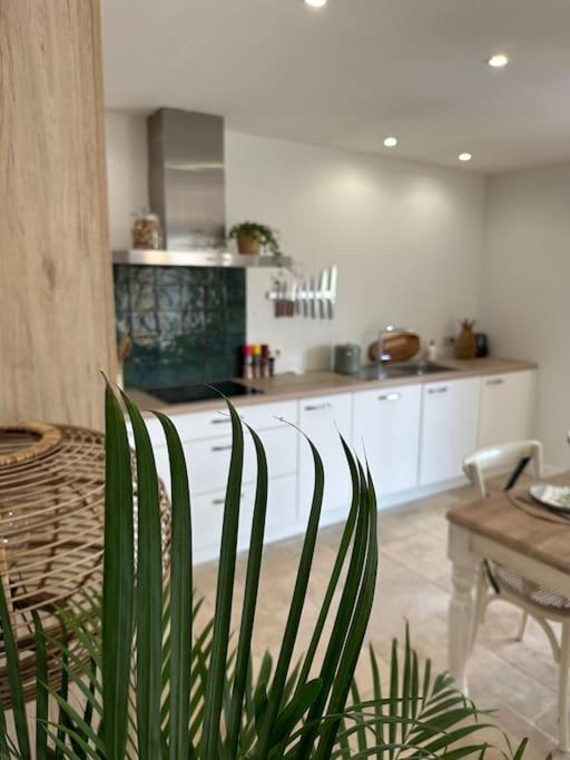 Appartement lumineux et chaleureux avec piscine estivale
