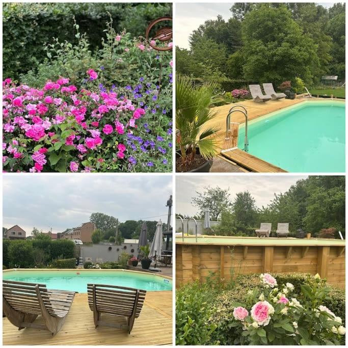 Appartement lumineux et chaleureux avec piscine estivale