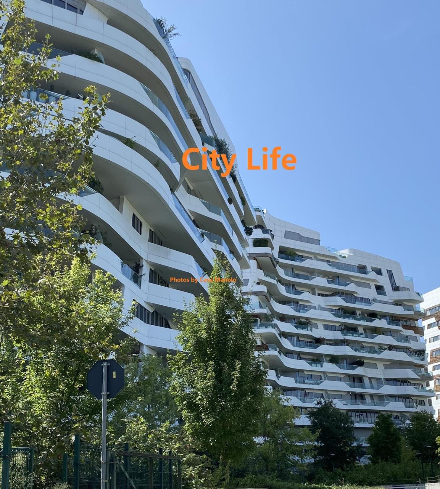 Photo 45