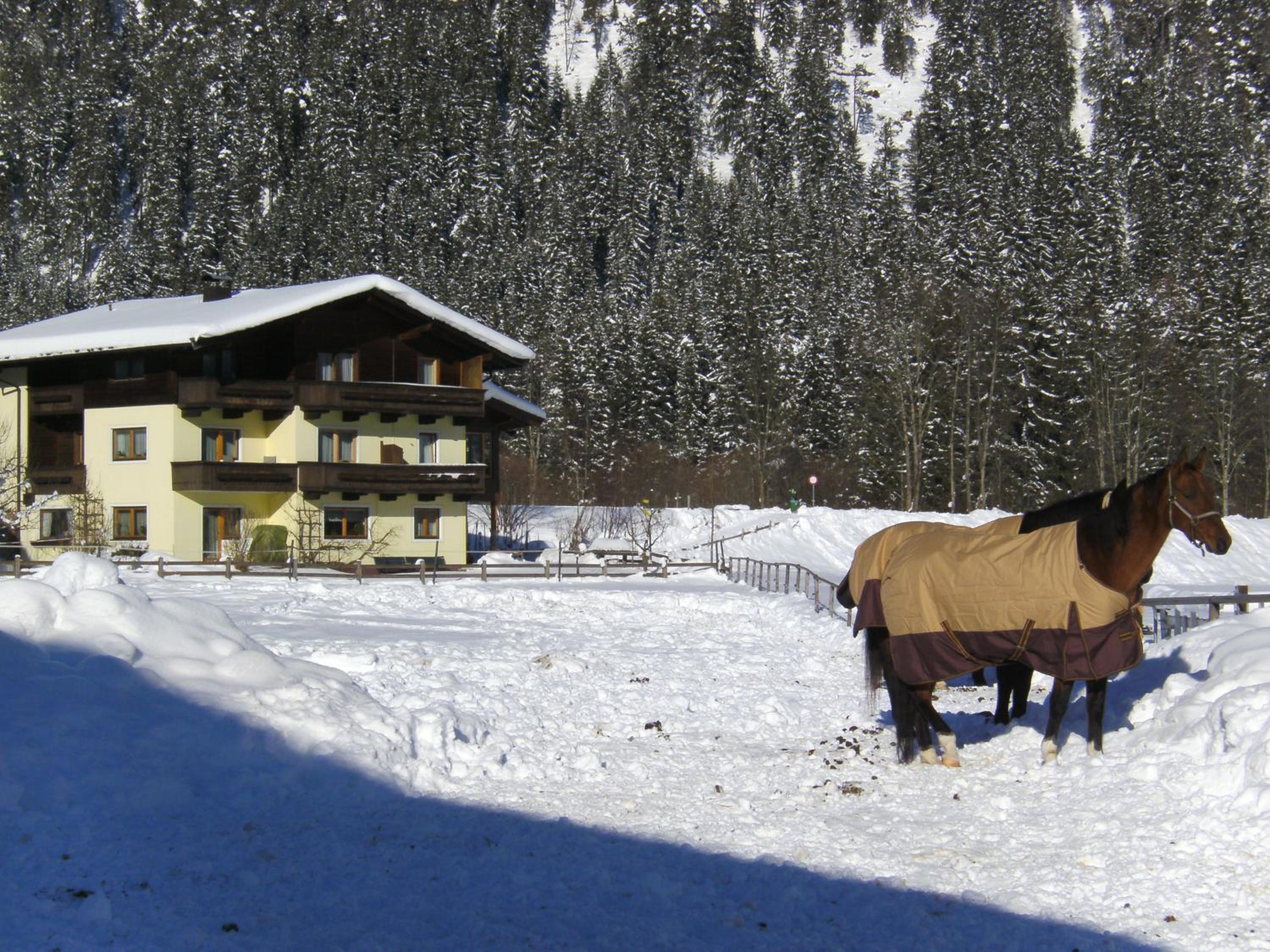 Pension Foidl