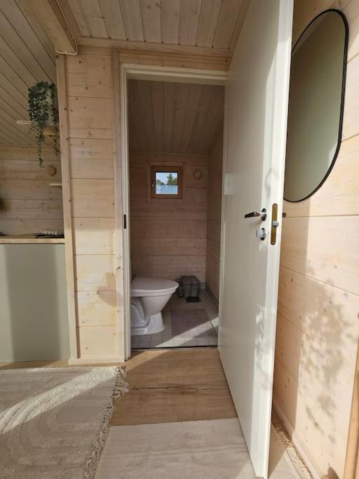 Skandinaavinen mökki rannalla