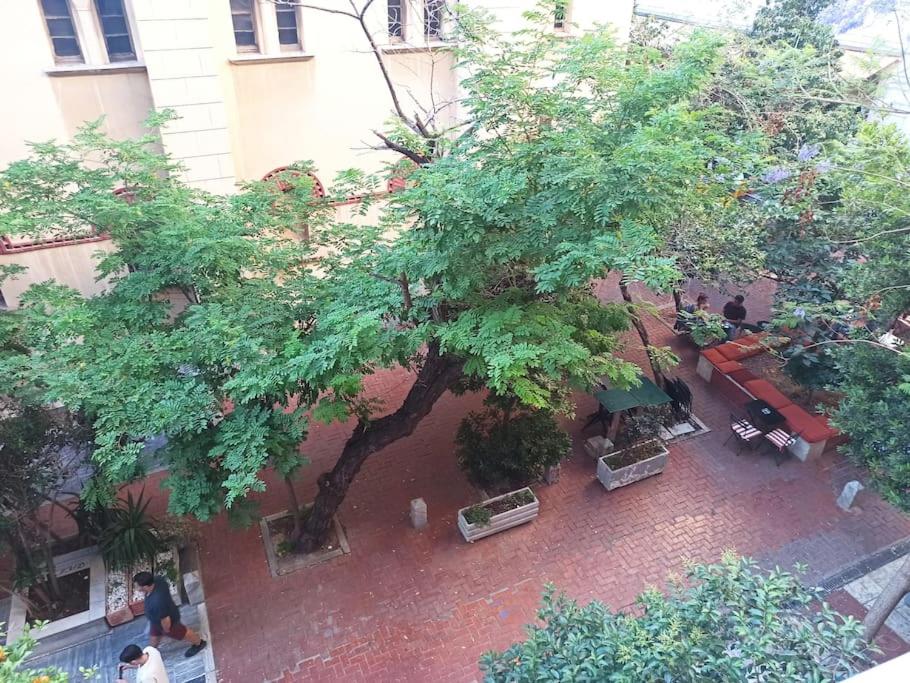 Livelula apartment
