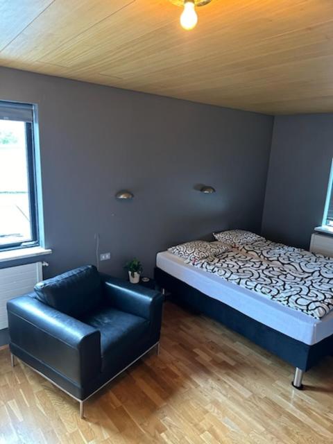 Rooms for share