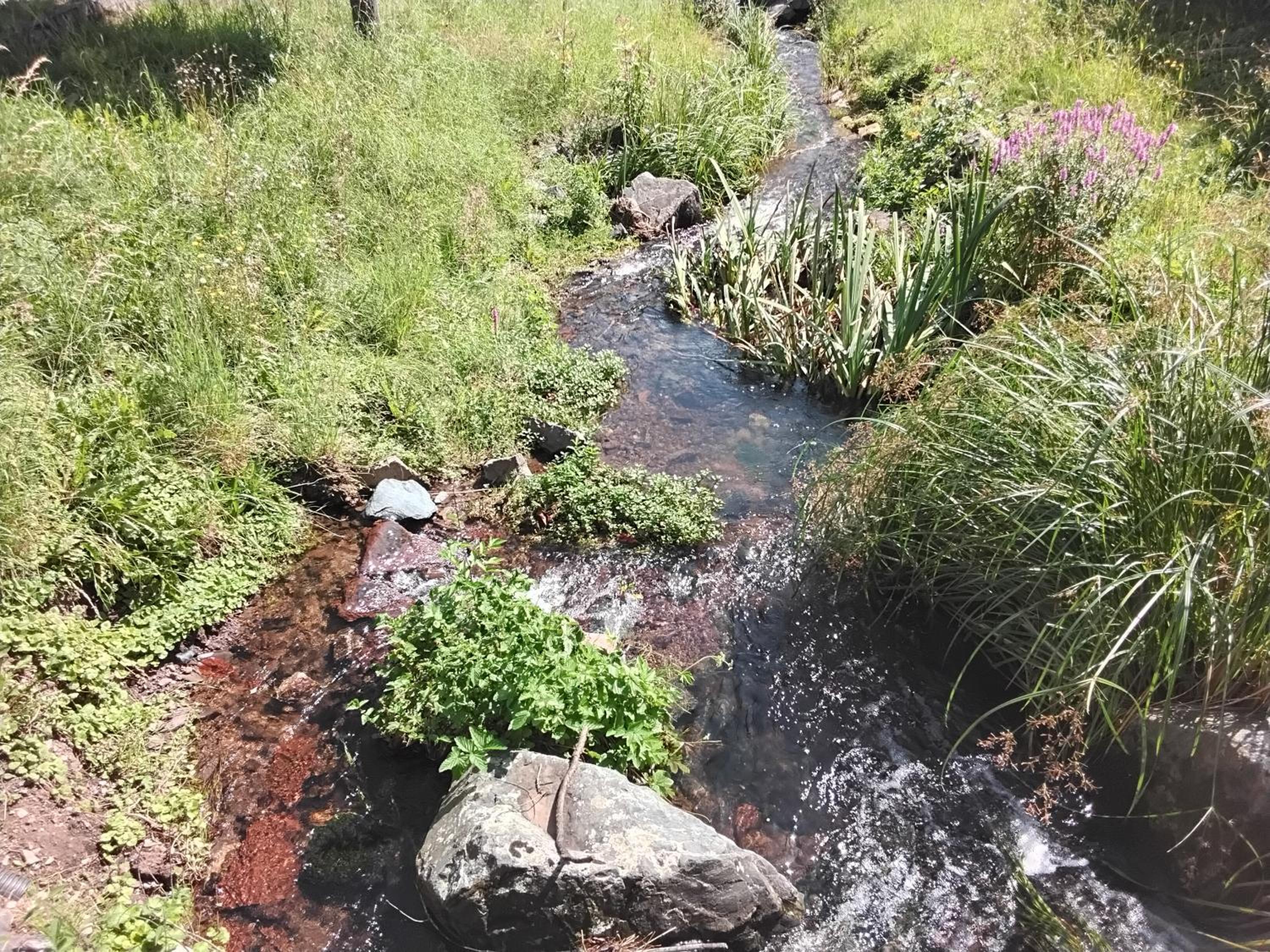 Hochwald EnSuite
