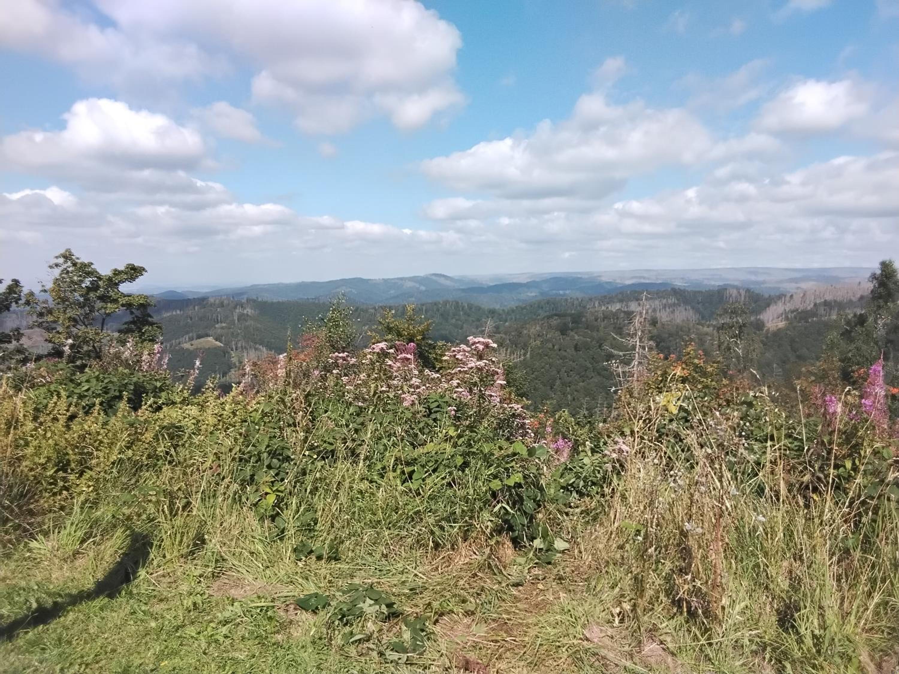 Hochwald EnSuite