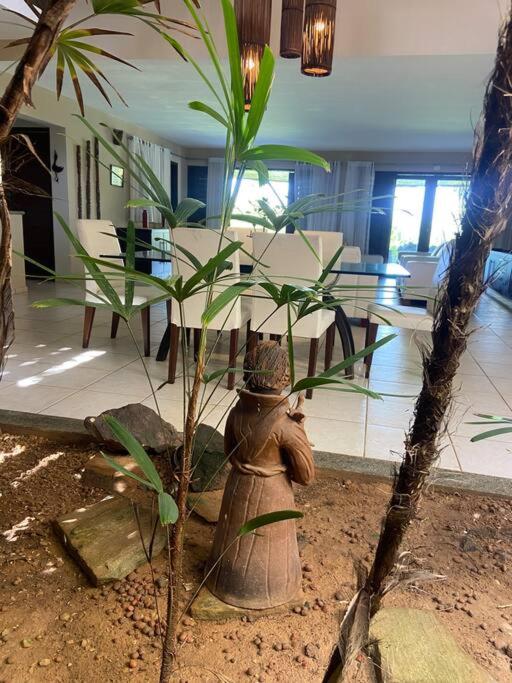 LATINoAMÉRICA I Casa dos Coqueiros I Pipa-Sibauma