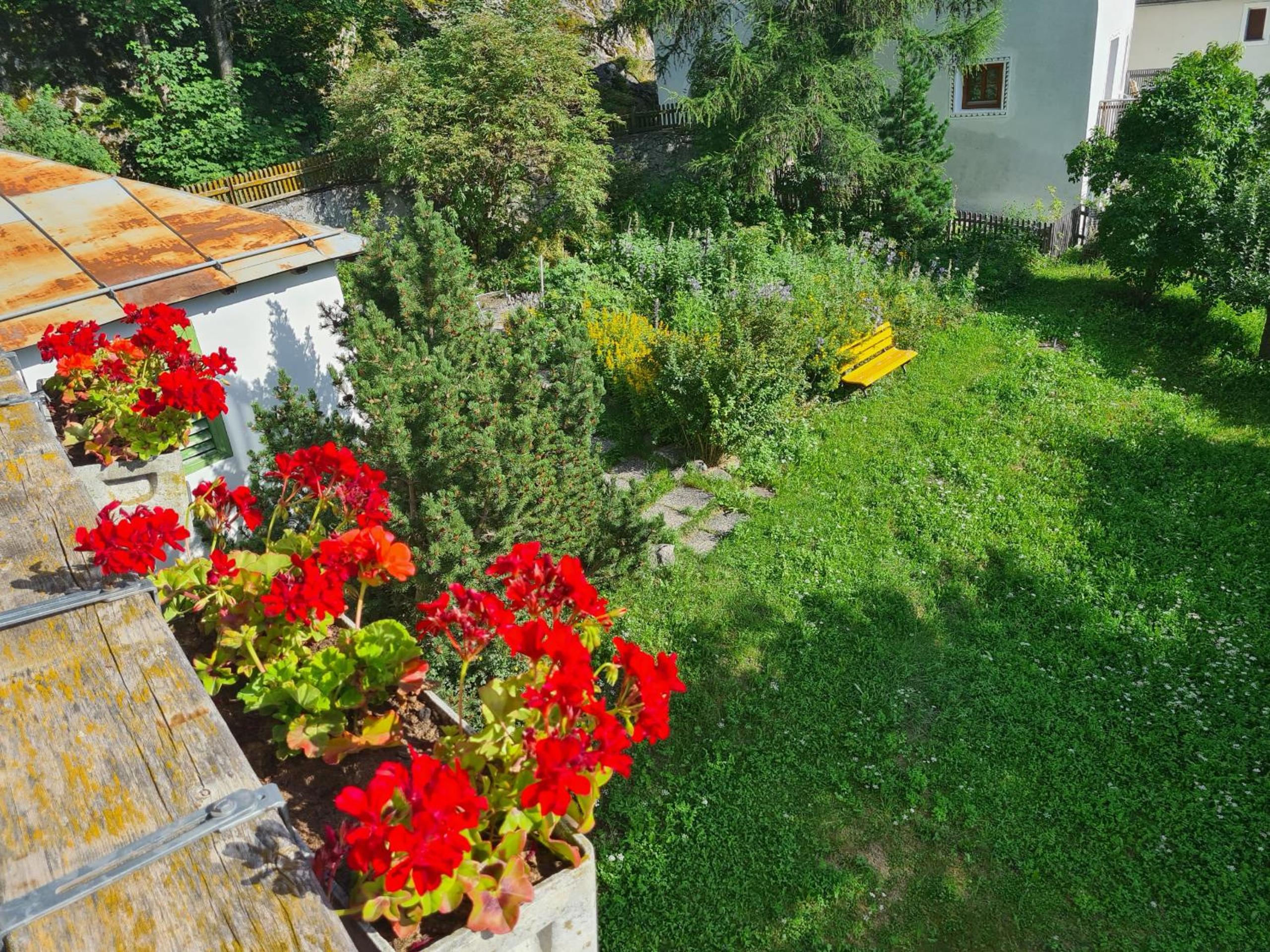 Photo 40