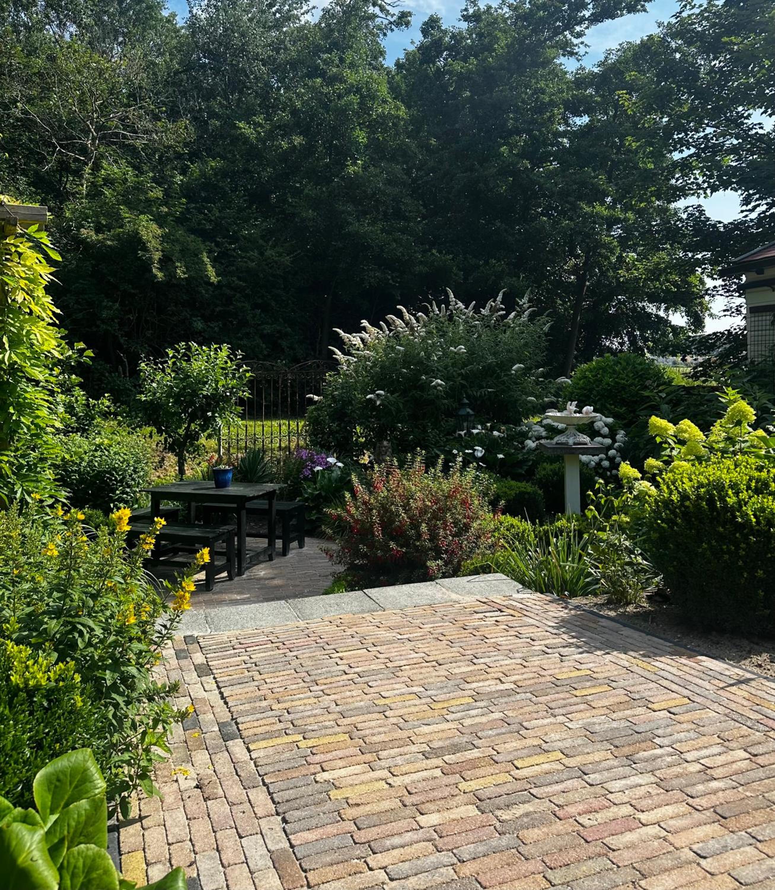 Photo 19