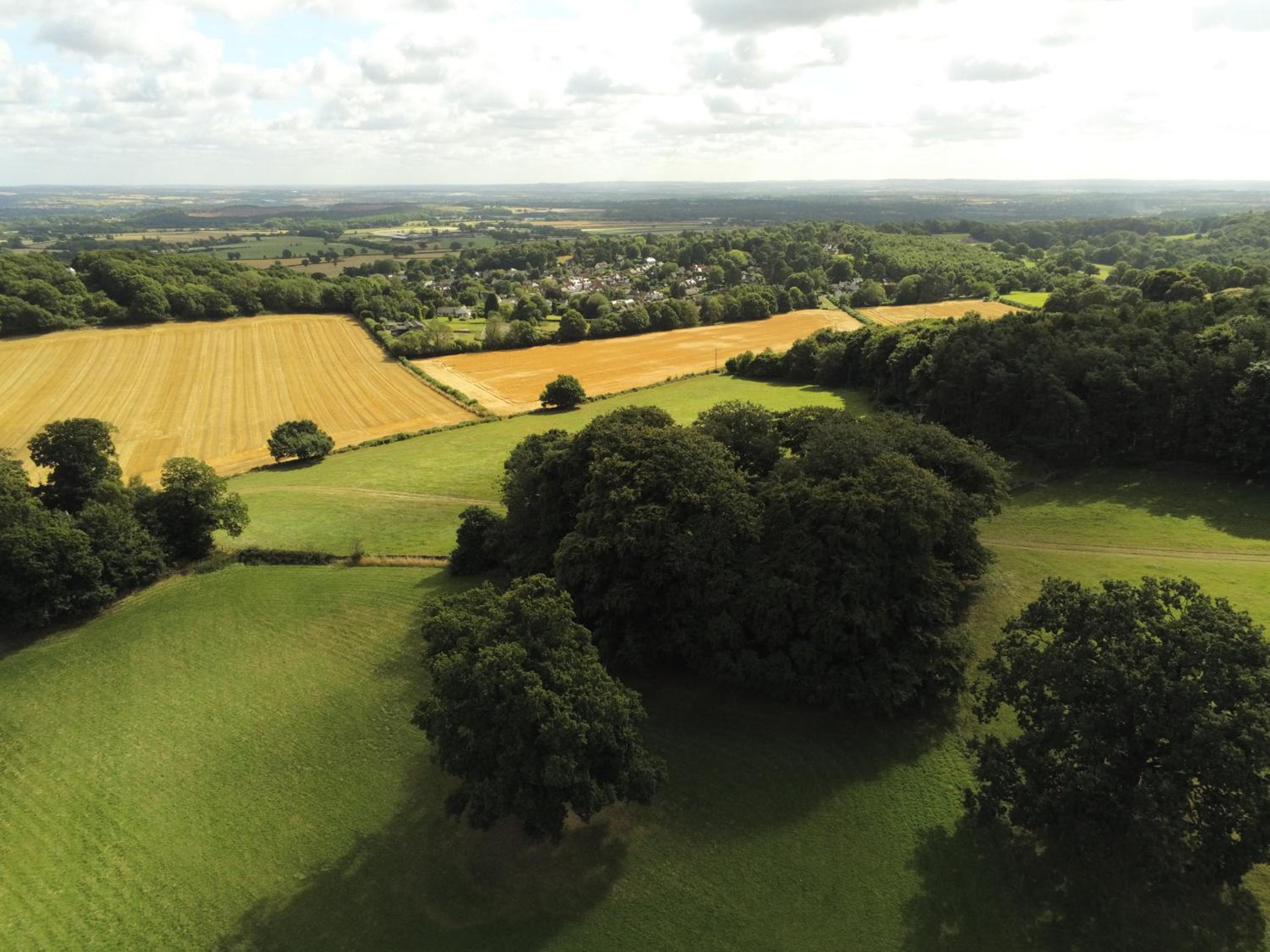 Woodhouse Retreat