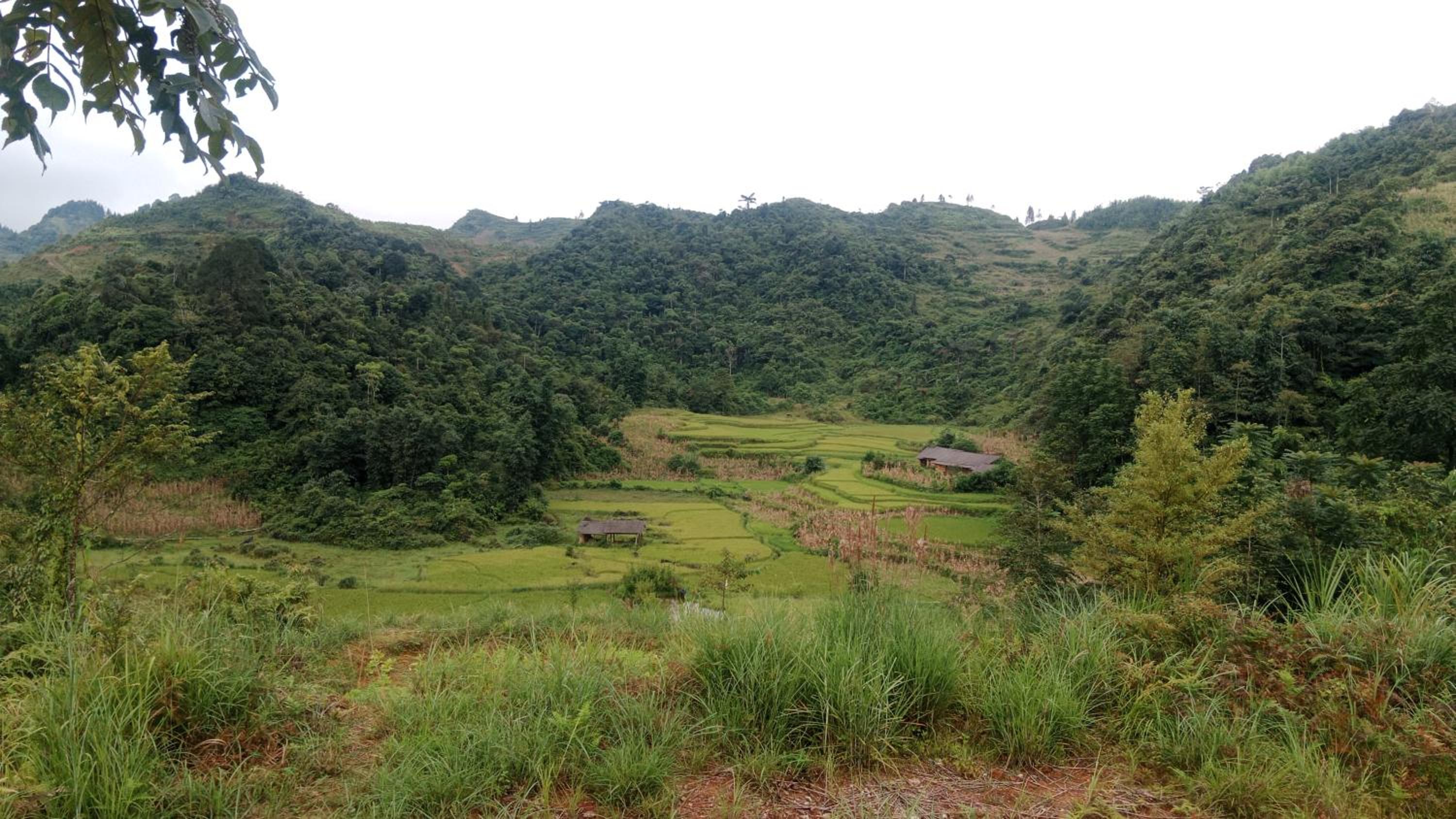 Higland Homestay Bac Ha view 4