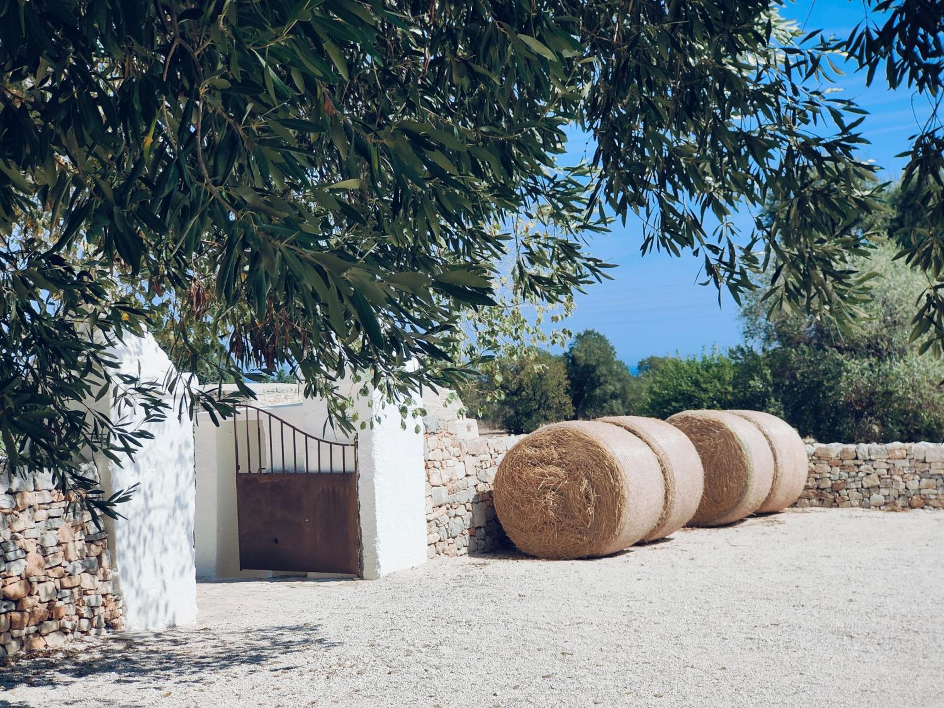 Masseria Celeste