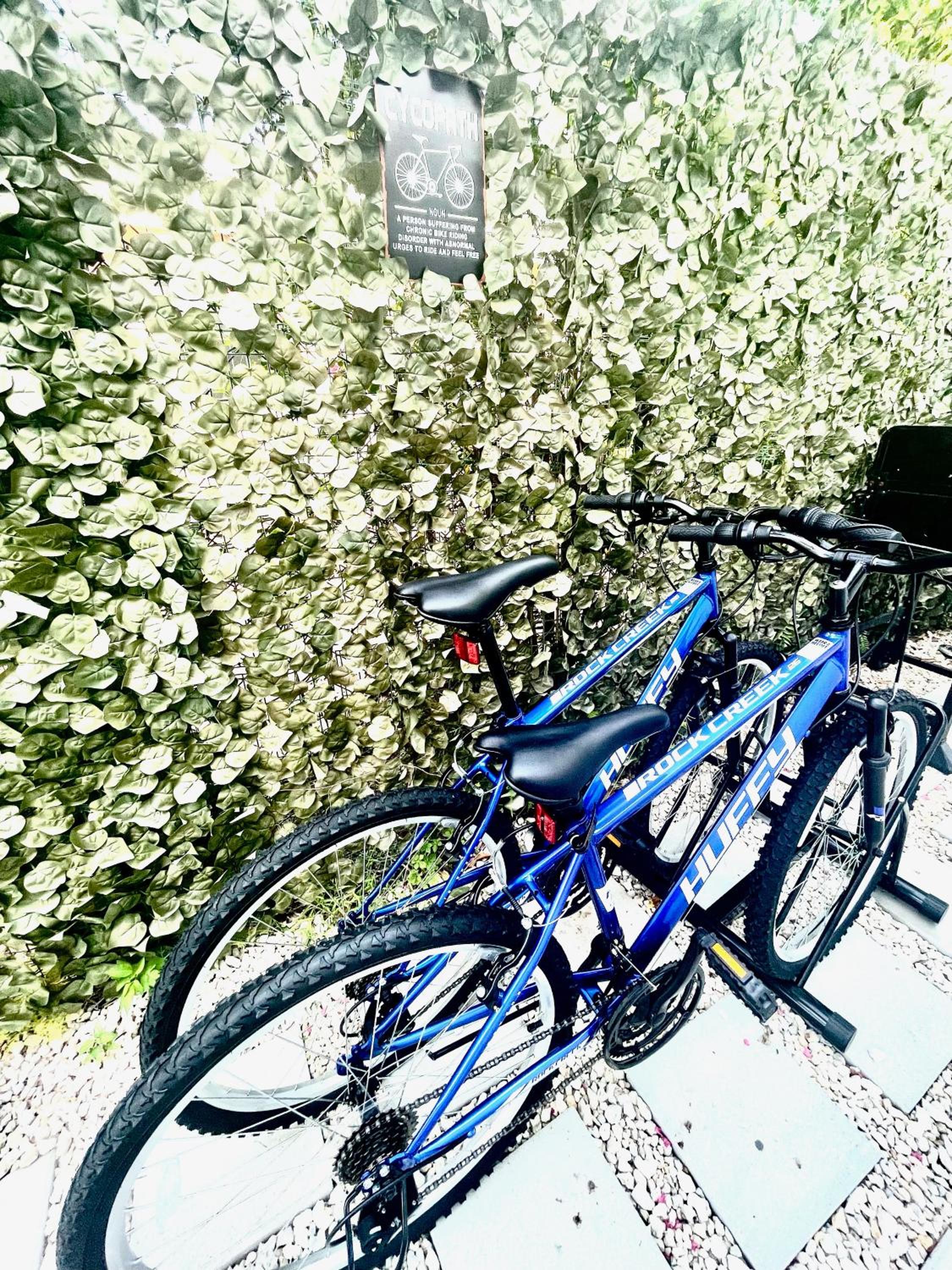 activities & amenities