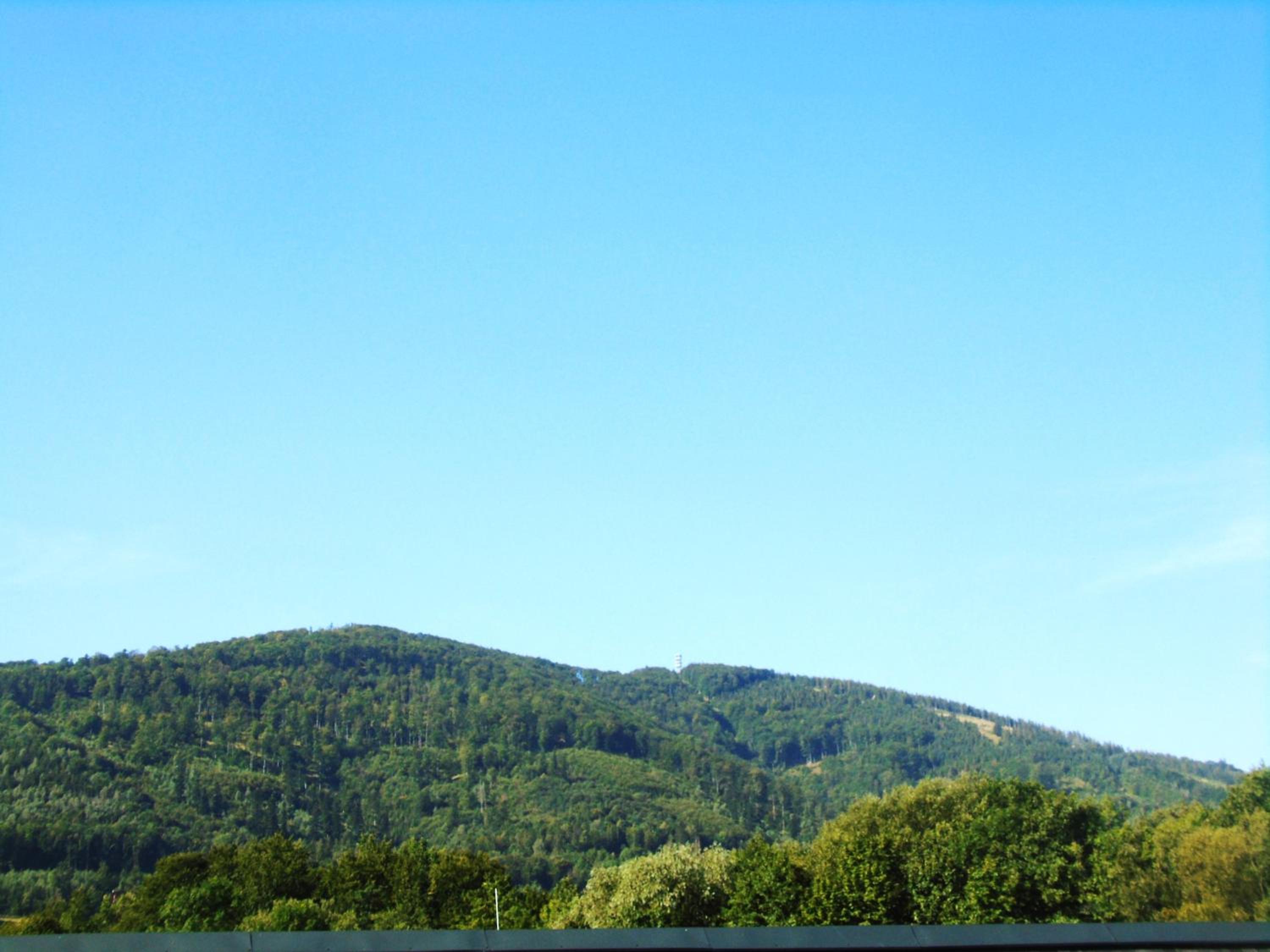 Toris Inn