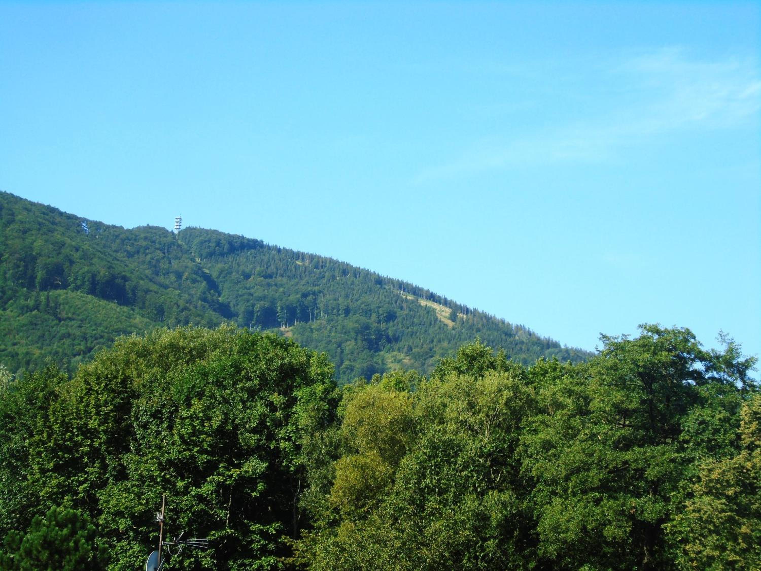 Toris Inn