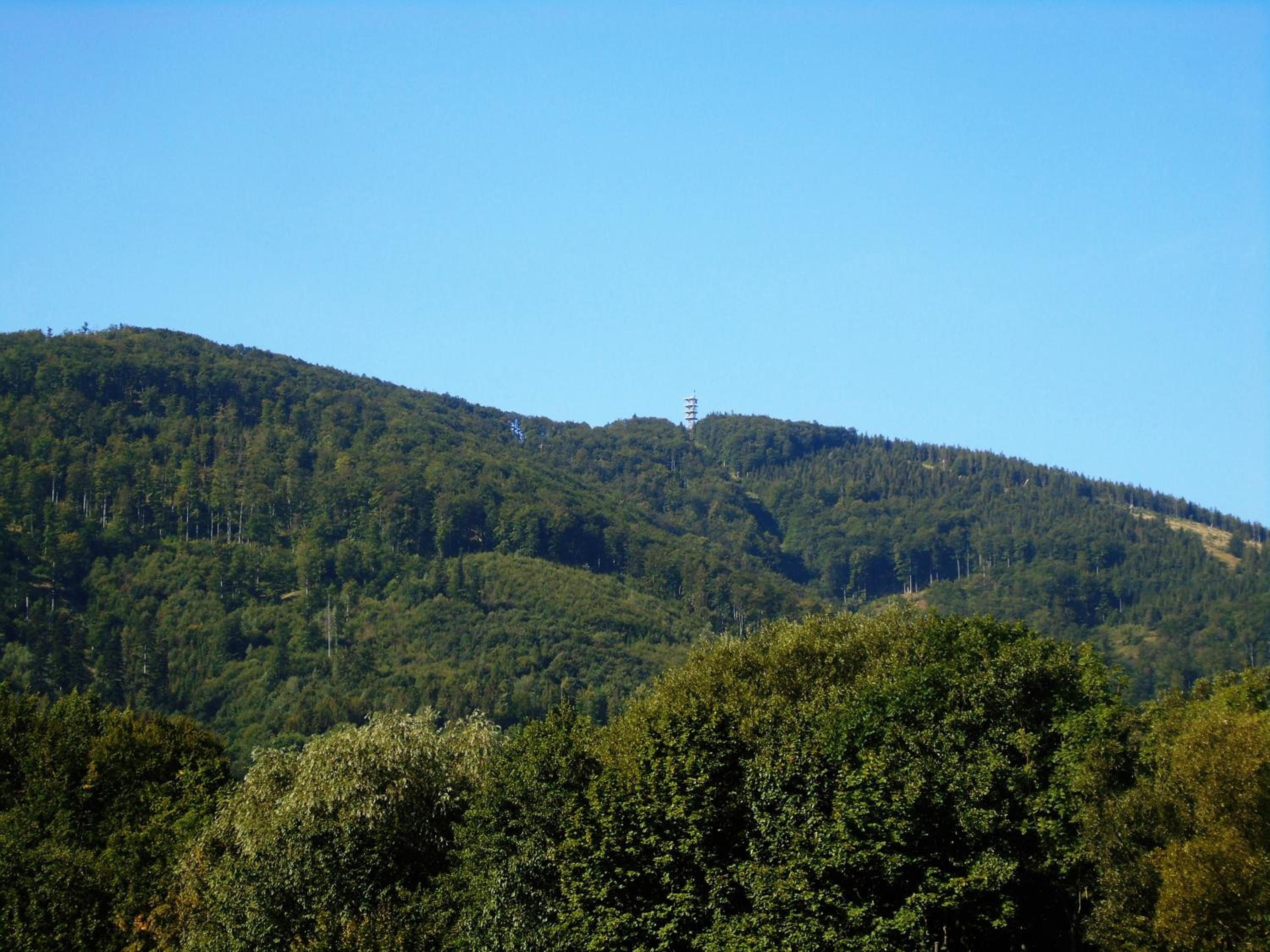 Toris Inn
