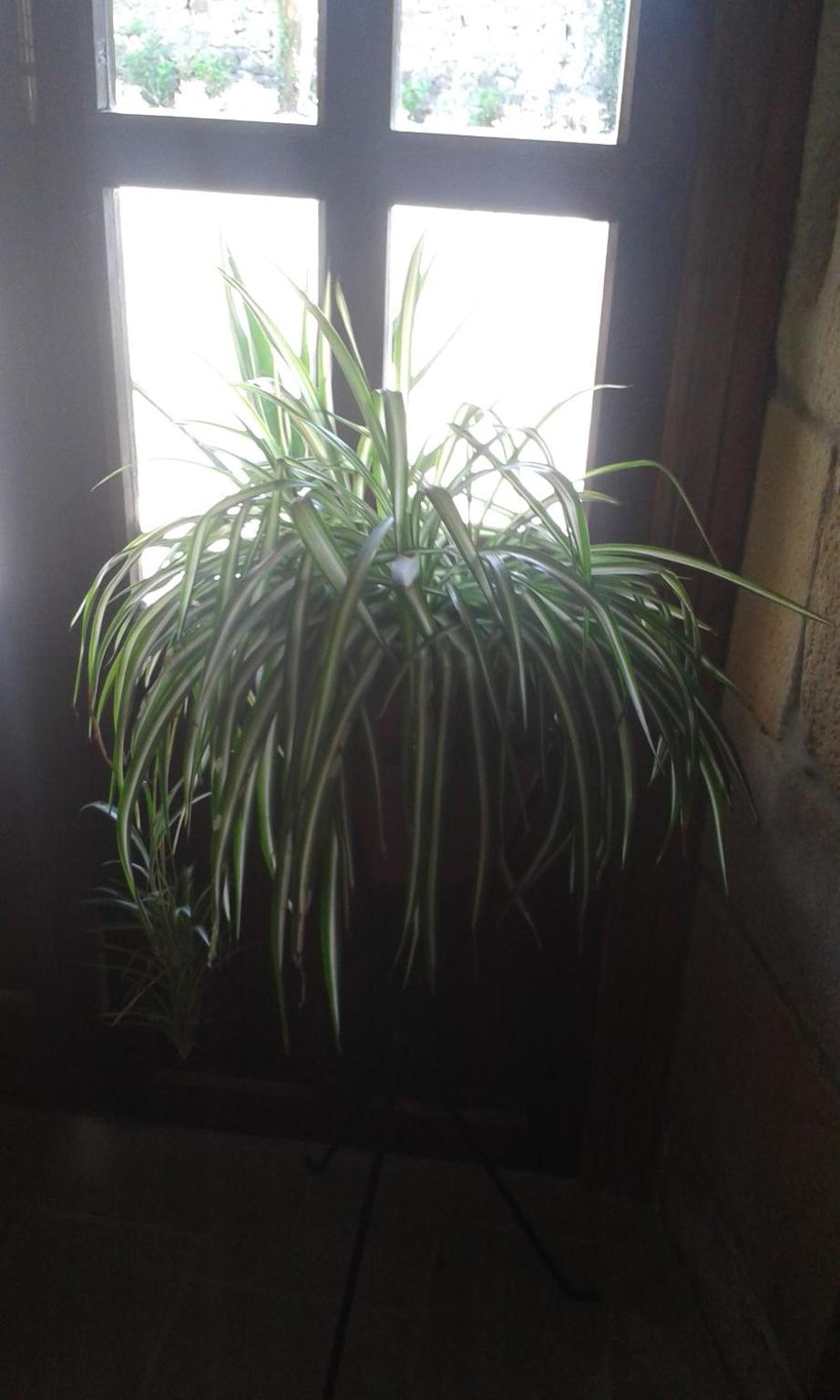 Casa Velarde - Property Image 83