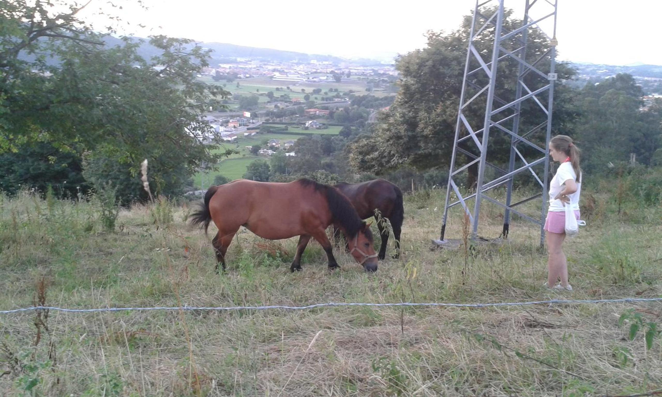 Casa Velarde - Property Image 84