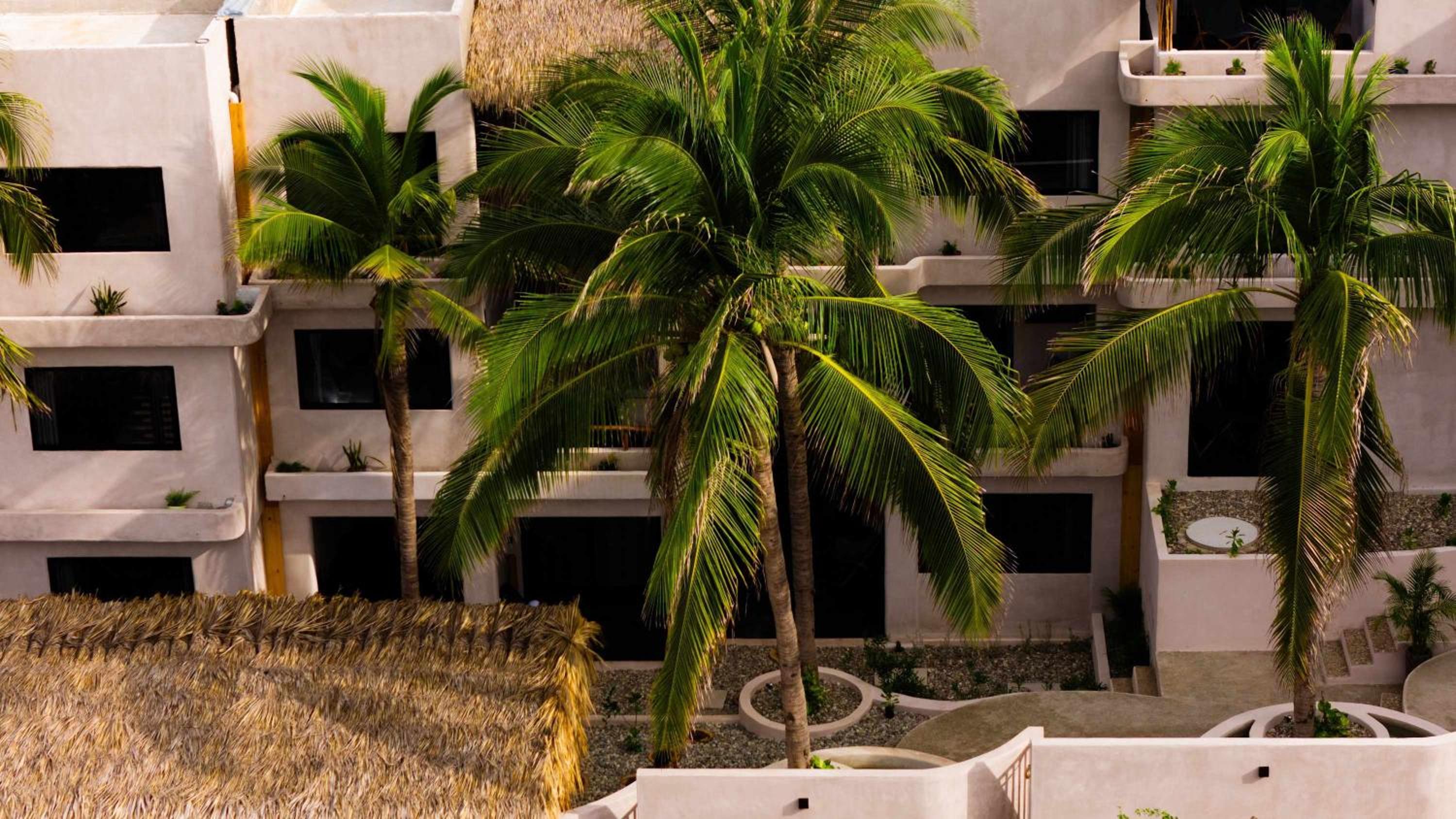 Casa Leah Puerto Escondido - Luxurious Seaside Retreat in Zicatela - 2 Outdoor Pools - Steps to The Beach - 10