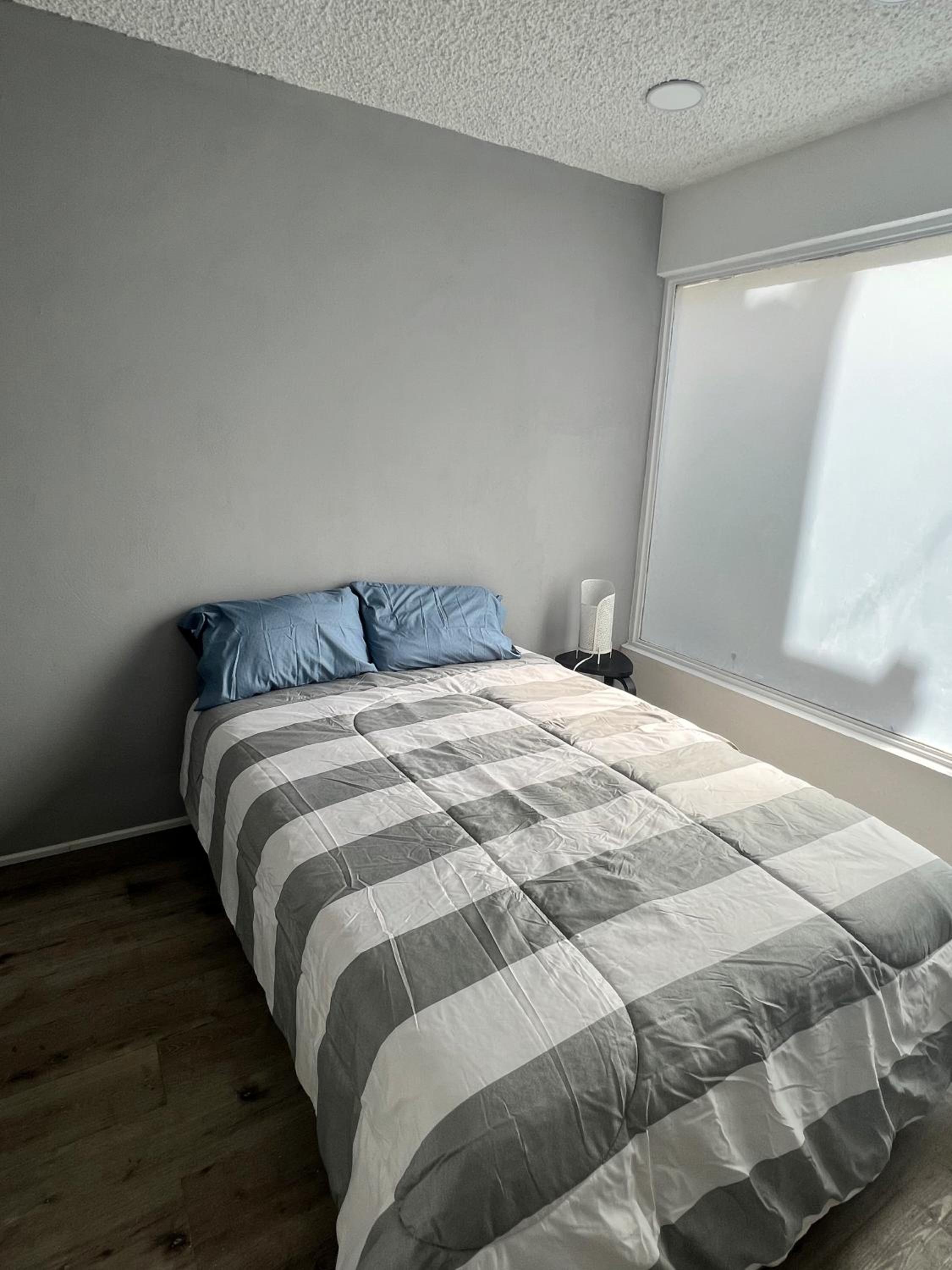 Condesa-Roma N Charming 2 bed 2 bath apt peaceful photo 3