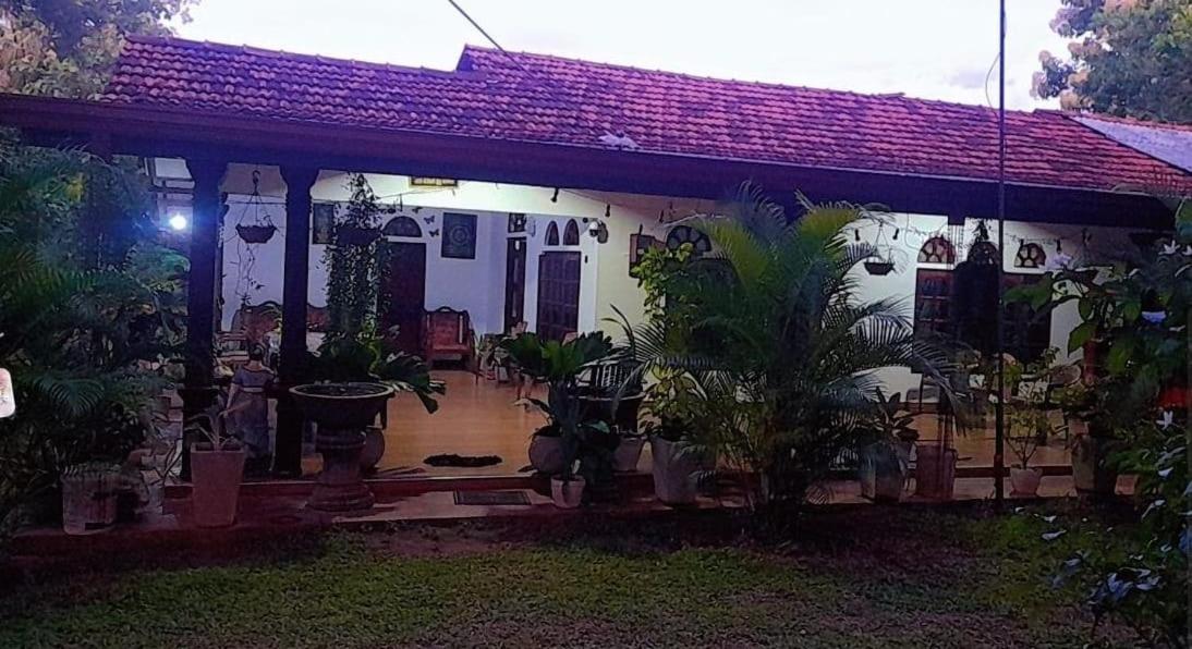 Ovi House