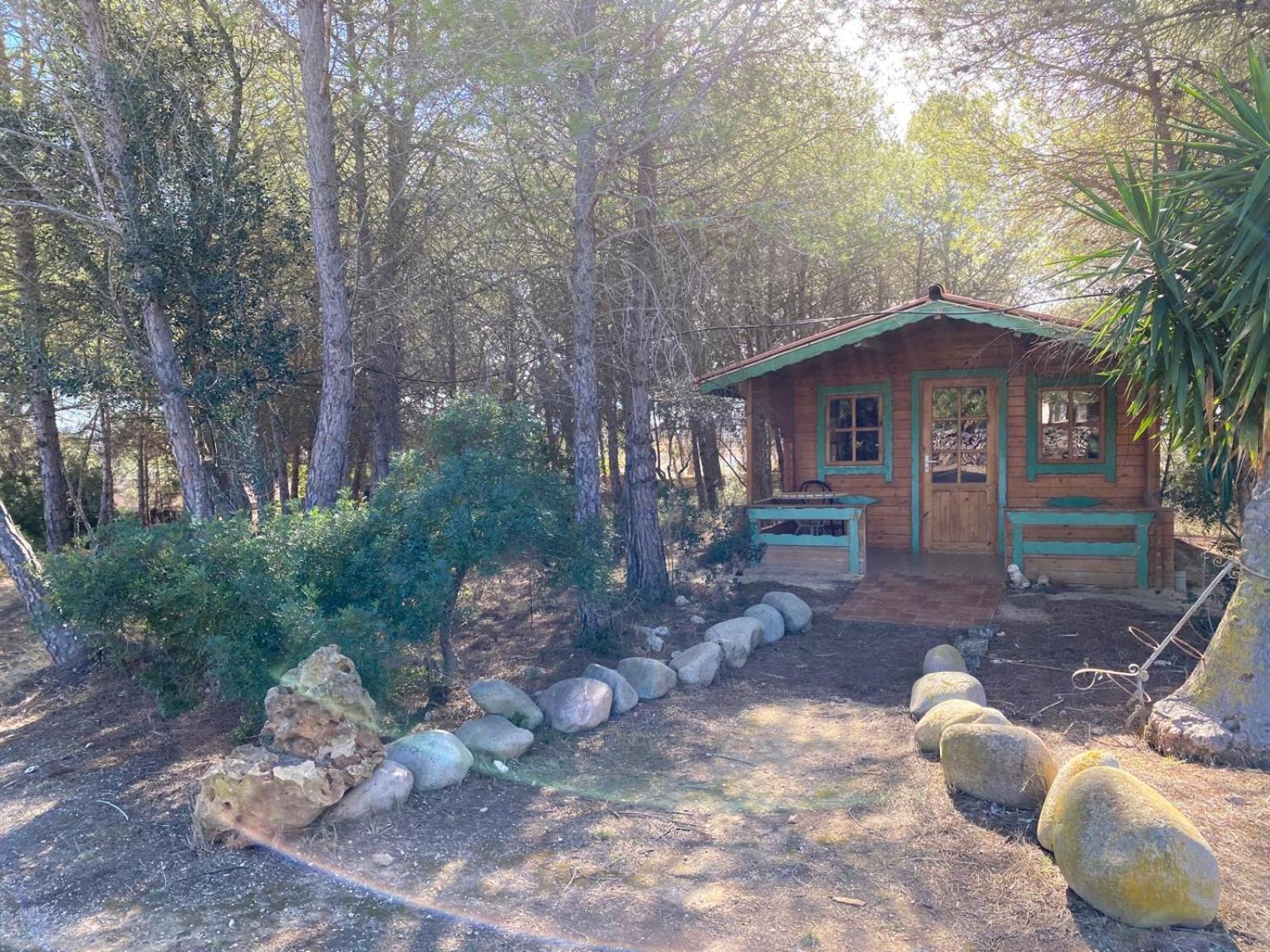 Masia con bosque Privado