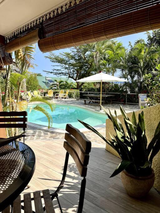 Patraka - 'No worries' photo 3