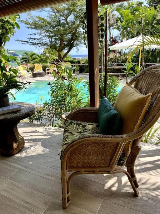 Patraka - 'No worries' photo 4