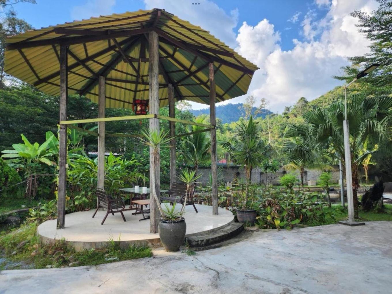 Rock Forest Chalet photo 8