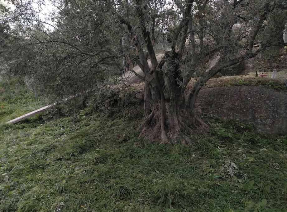 Cortijo Relatillos
