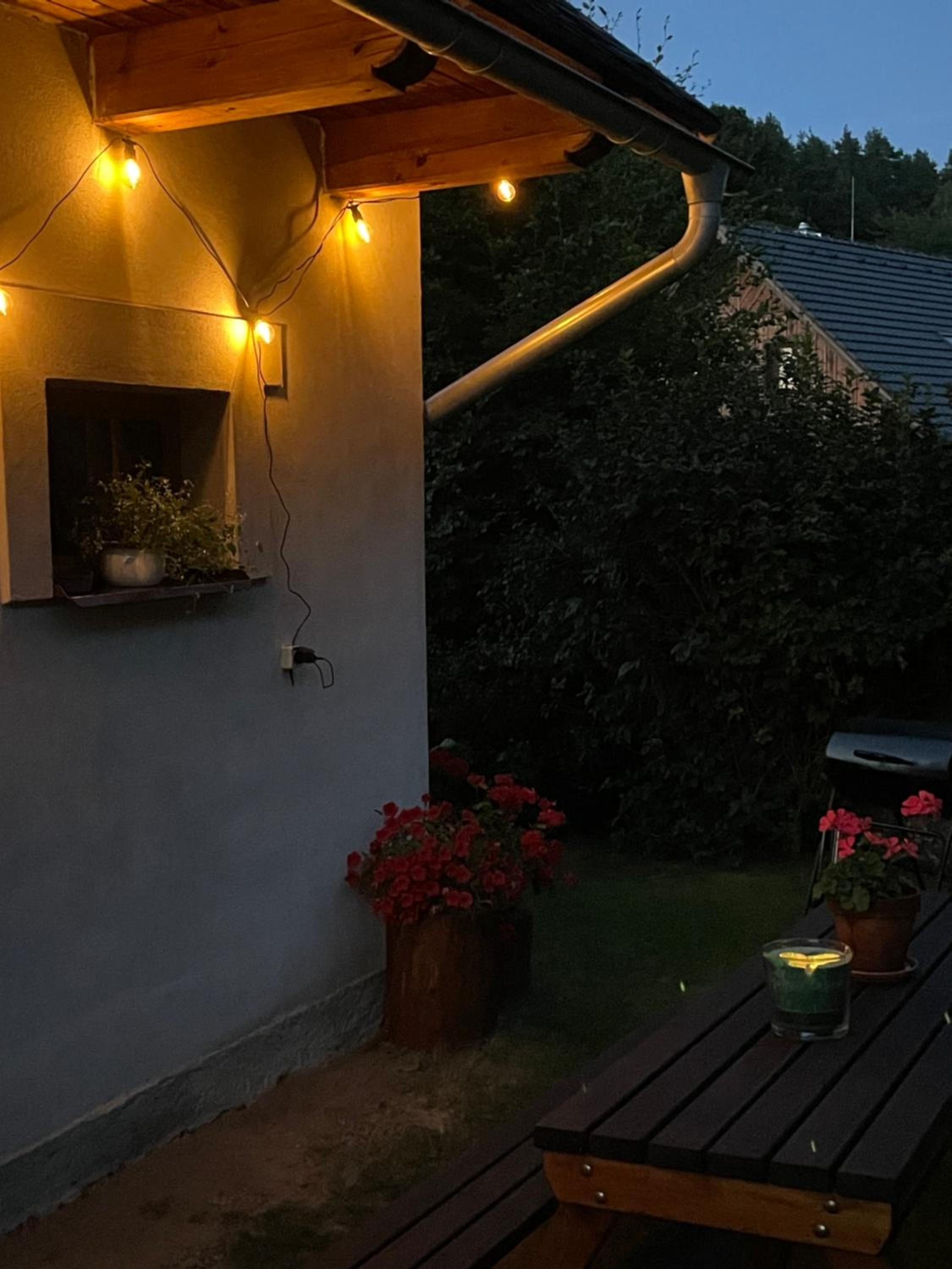 Apartmán U Růži