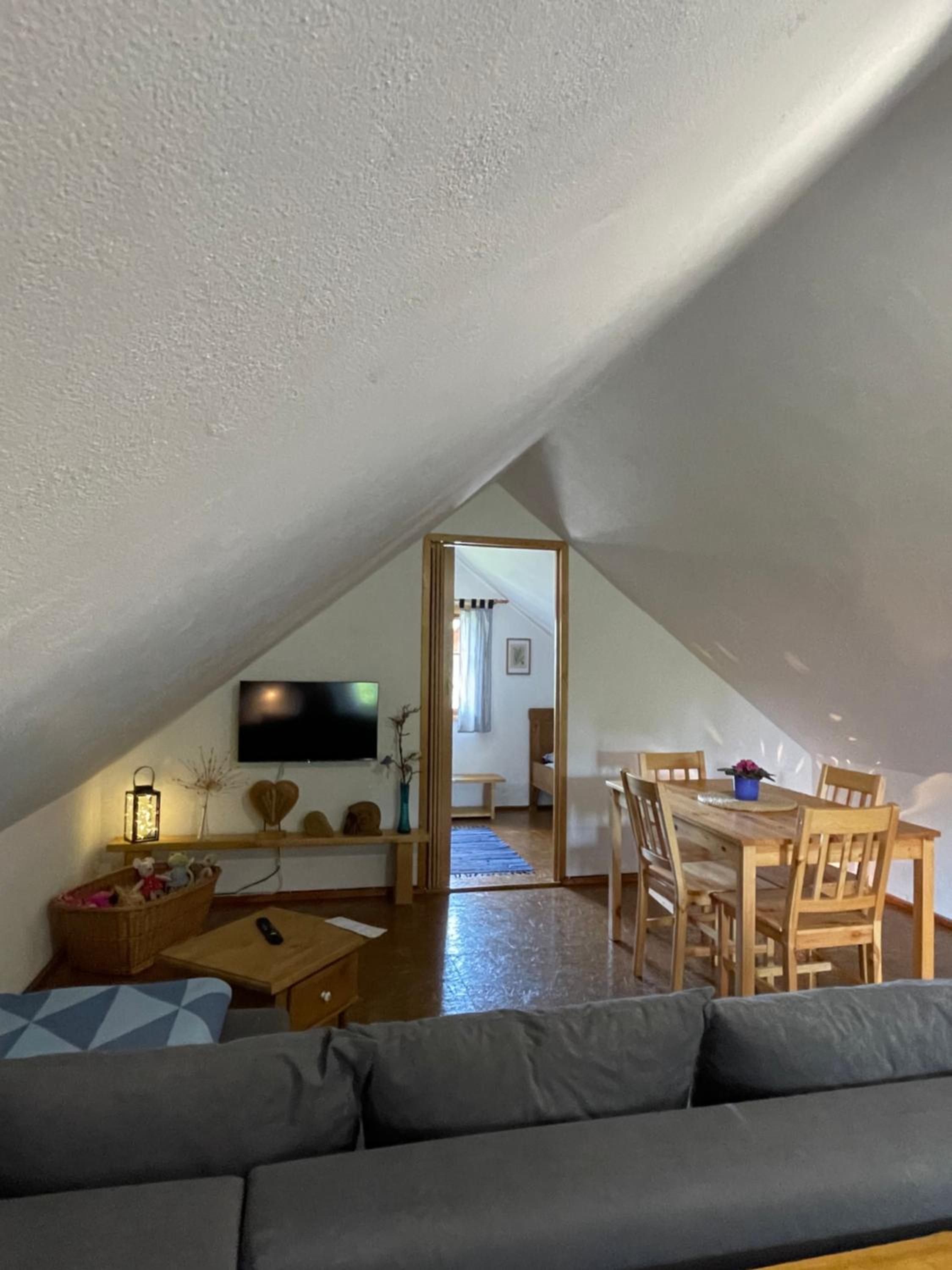 Apartmán U Růži