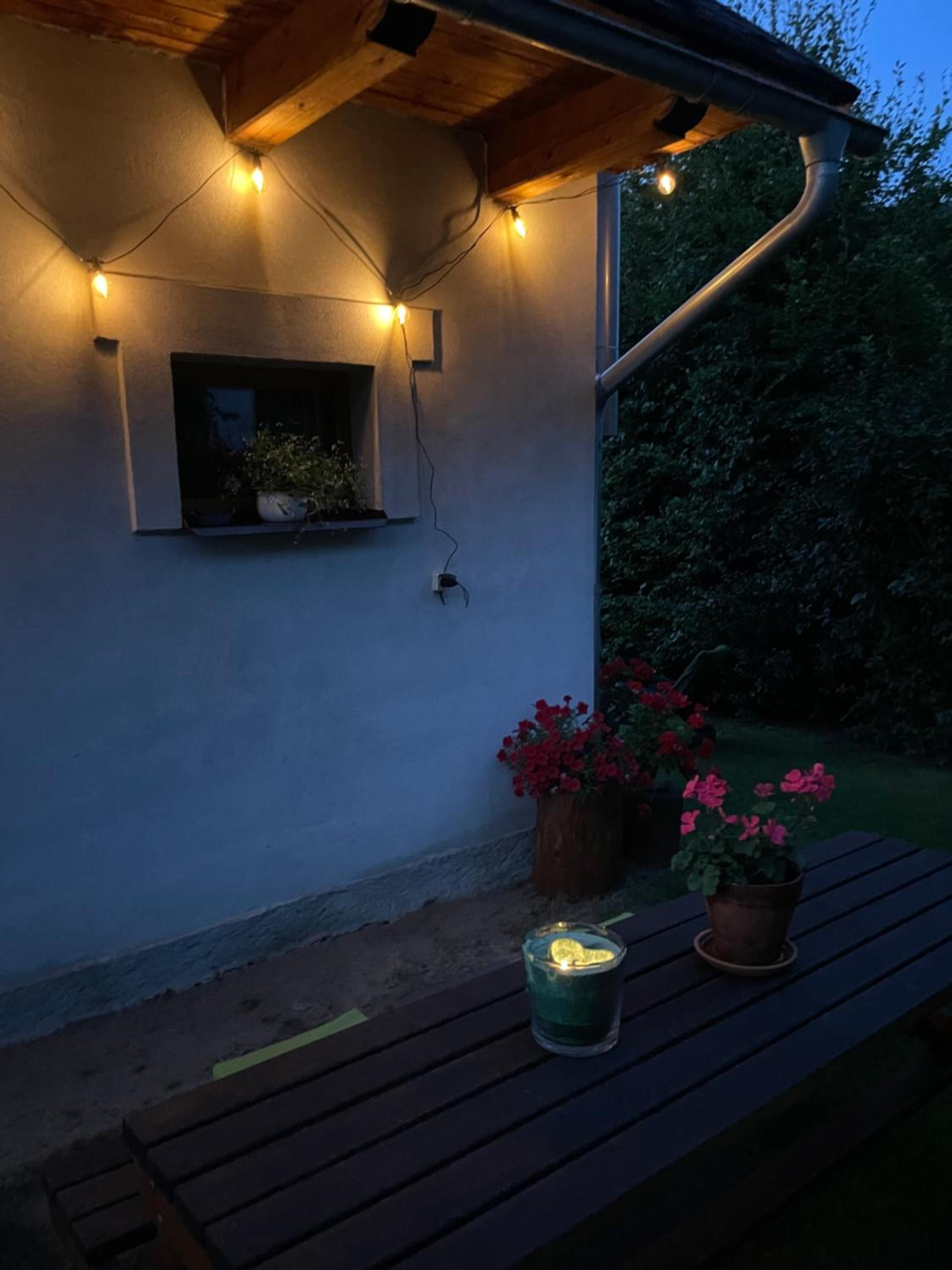 Apartmán U Růži