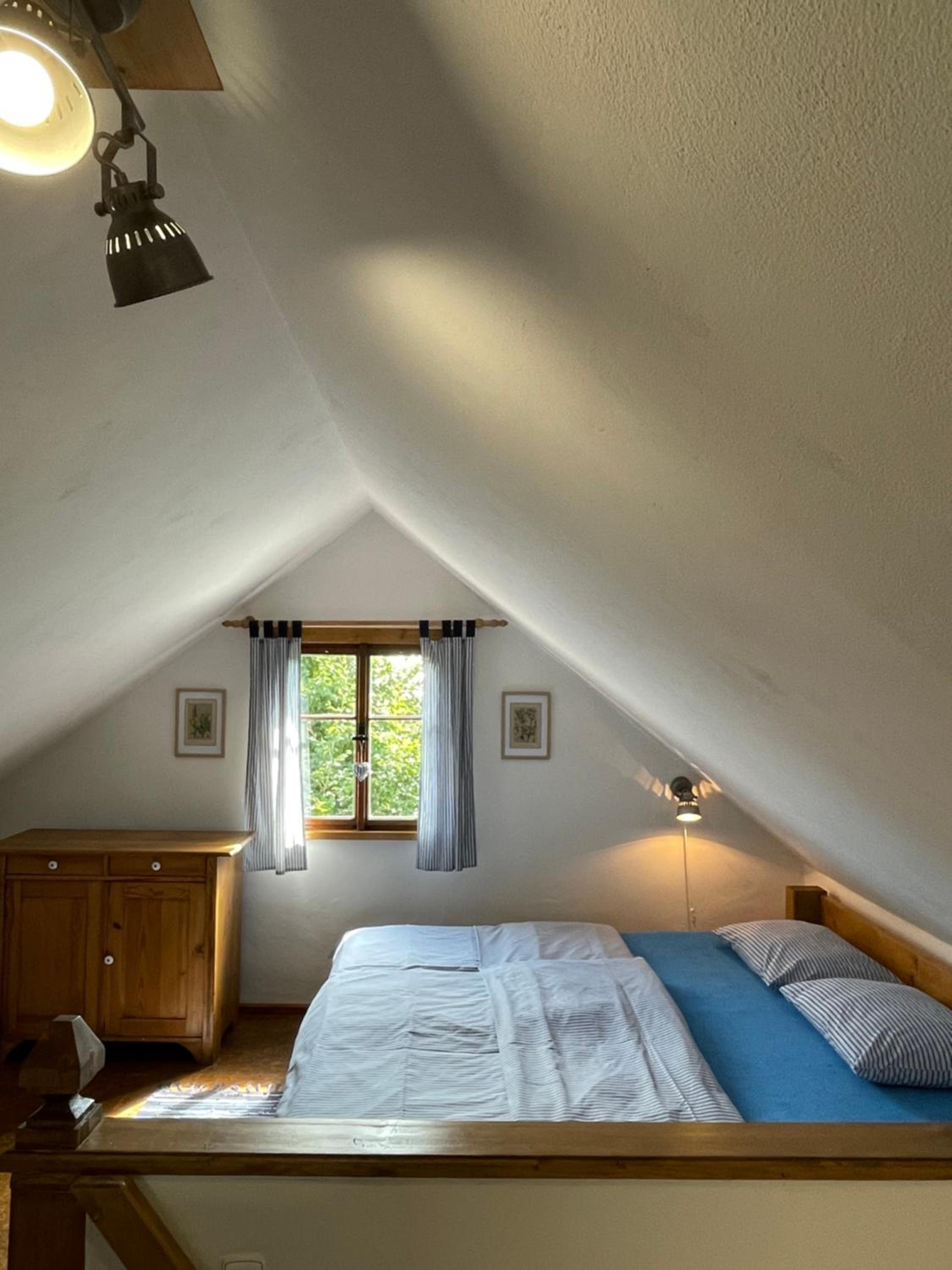 Apartmán U Růži